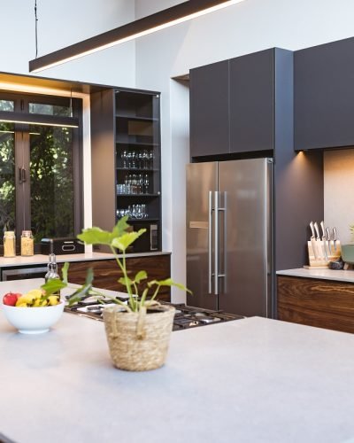 Modern kitchen with island, stainless steel appliances, and potted plants, copy space. interior, design, home, decor, contemporary, countertop